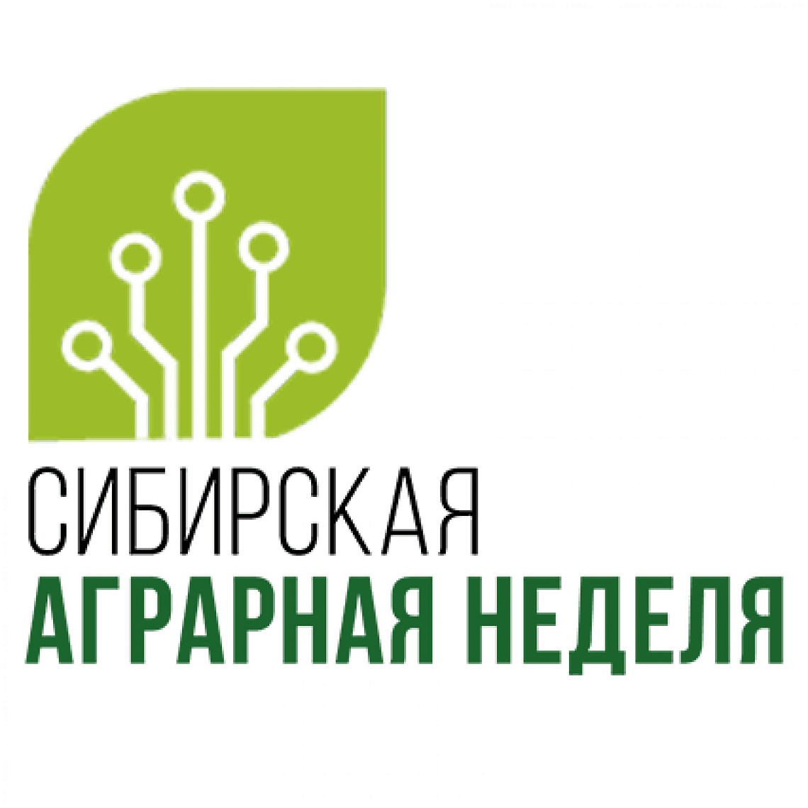 Ведущие вузы Беларуси на многоотраслевой выставке в Новосибирске